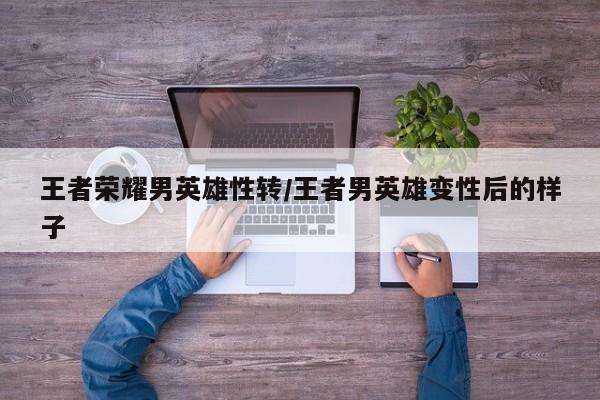 王者荣耀男英雄性转/王者男英雄变性后的样子