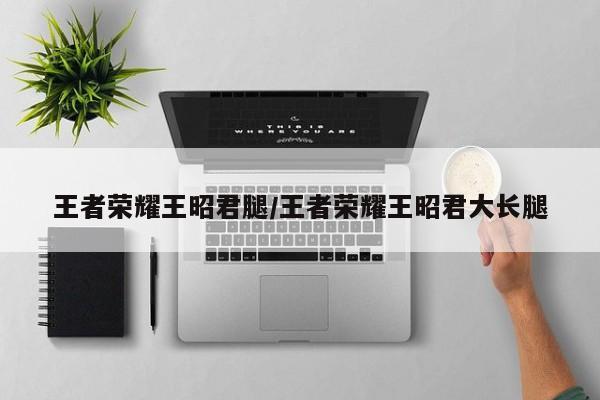 王者荣耀王昭君腿/王者荣耀王昭君大长腿
