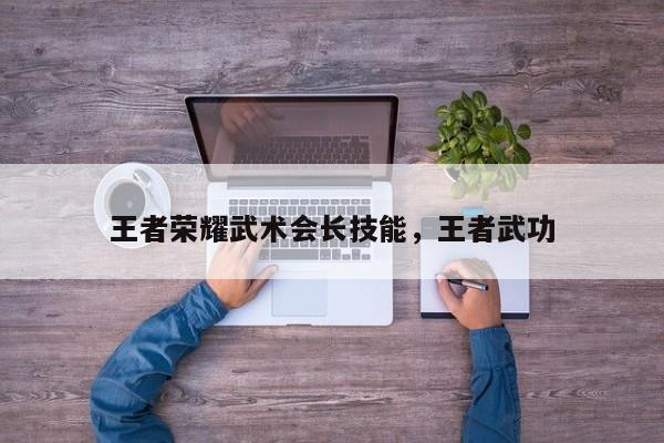 王者荣耀武术会长技能,王者武功